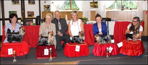 1. DYC Yorkie-Show at Surwold