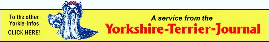 A service from the Yorkshire-Terrier-Journal
