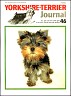 YTJ issue 46