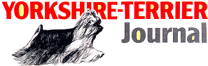 Seit 25 Jahren die Spezial-Yorkie-Zeitung!