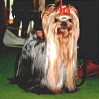 Monsieur von Conny's Eck