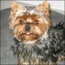 Gucci - 3 Jahre