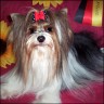 Flawinja - 3 Jahre