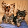 Fienchen & Milena