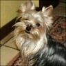 Kr�mel - 22 Monate