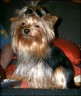 Micki - 2 Jahre