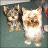 Barry (li) & Henriette (re)