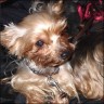 Momo - 5 Jahre