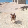 Mona im Urlaub