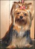 Romy - 2,5 Jahre