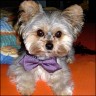 Anton - 3 Jahre