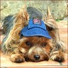 Fritz - 2 1/2 Jahre