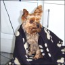 Susi - 5 Jahre