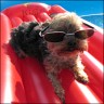 Sunny - 6 Jahre