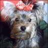 Trixie - 7 Monate