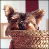 Tobi - 4 Jahre