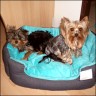 Sally & Max