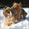Belana (7 Jahre) & Delilah (5 Jahre)
