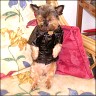 Tisha - 10 Jahre