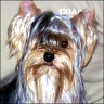 Trixi - 11 Monate