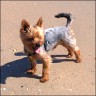 Maxi - 4 1/2 Jahre