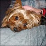 Bauzl - 2 Jahre