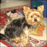 Taco - 2 Jahre