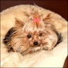 Jeanie - 7 Jahre