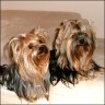 Ronja (3 Jahre) & Emilie (21 Monate)