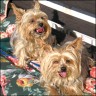 Rosalie & Bonnie