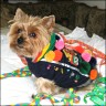 Nicki - 11 Jahre