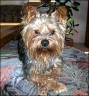 Charly - 2 Jahre