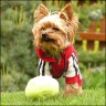 Sunny - 3 Jahre
