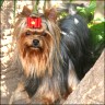 Yosefin - 2 Jahre 