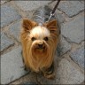 Gioia - 3 Jahre
