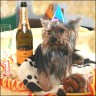 Herkules - 1 Jahr