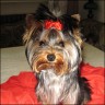 Farina - 8 Monate