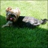 Ronja - 4 Jahre