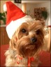 Dolly - 4,5 Jahre