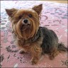 Babsy - 10 Jahre