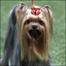 Kissy - 3 Jahre
