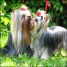Pride Hero & Tochter Ronja