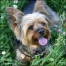 Paula - 7 Jahre