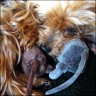 Belana - 9 Jahre
