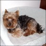 Kr�mel - 8 Jahre