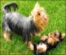   Luise & Baby