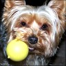 Gina - 7 Jahre