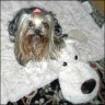 Jenny - 6 Jahre