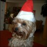 Dolly - 5,5 Jahre