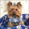 Daisy - 2 Jahre